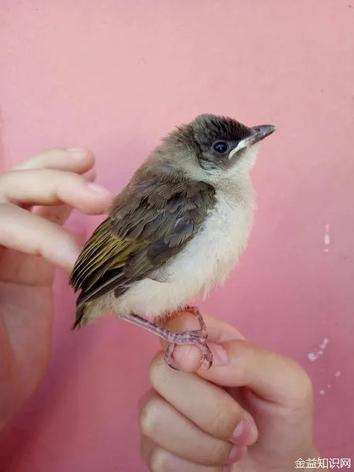 精彩内容抢鲜看 - 杏运娱乐